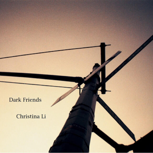 Christina Li - Dark Friends